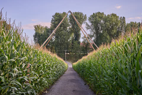Gemeinde Atting Landkreis Straubing-Bogen Irrgarten Straubing (Dirschl Johann) Deutschland SR